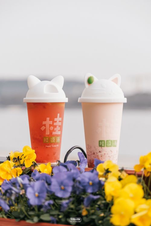 纯萃滋味 打造专注无酒精即饮型奶茶的独特体验